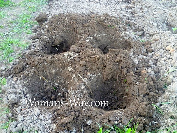 Как легко копать лунки под посадку рассады