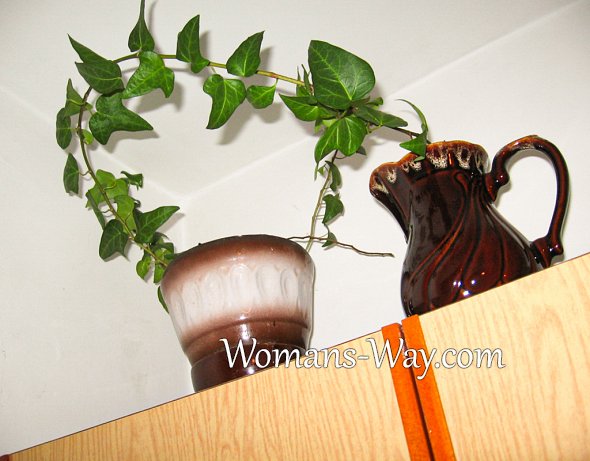 Оформление полки на кухни с помощью живого цветка в вазоне